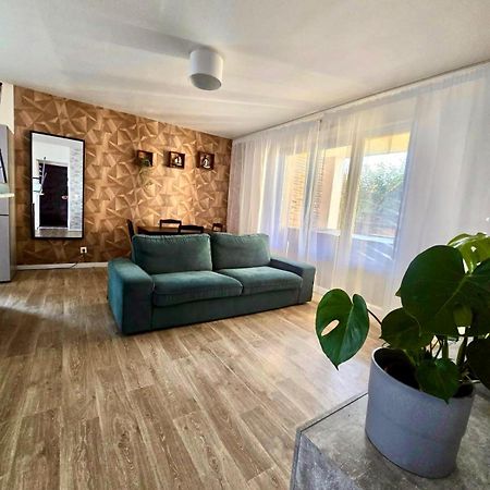 Appartement Rez De Chaussee Avec Parking Prive 올리언스 외부 사진